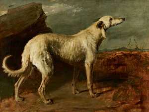 Braan , ein Berühmt Schottisch Deerhound