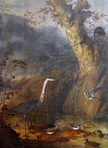 L uomo guardando  uccelli acquatici  da  dietro  Un  albero