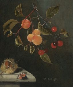 Still life with a butterfly, apricots, cherries and a chestnut