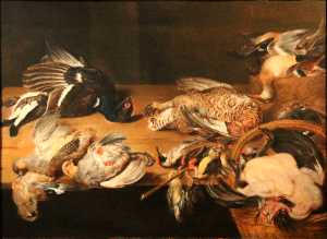 Still life with dead birds