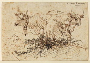 Study of group of cows