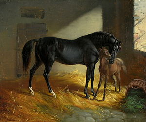 Cavallo e puledro nelle stalle Balz