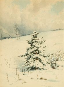 NY, hillside in winter