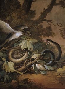 Still life with a viper and a bird's nest