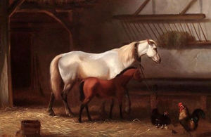 Horses and chickens in a stable