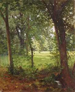Forest in the spring