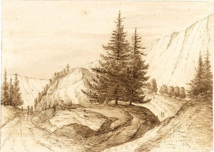 Mountainous landscape with pine trees