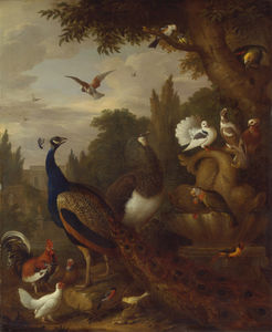Peacock, peahen, pappagalli, canarini, e altri uccelli in un parco