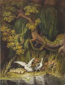 Un ganso y un vistazo con su ansarinos tocando la bocina de alarma como dos zorros con su cachorros surgir desde el juncos