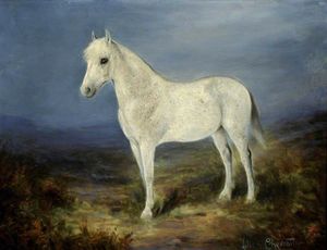 A pie de caballo gris en un paisaje