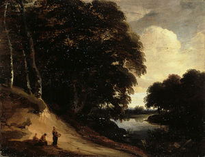Forest landscape with river