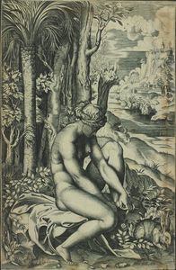 Venus wounded by a rose's thorn