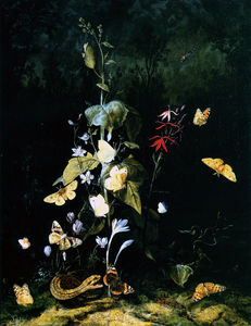 Mariposas silvestres y plantas en un paisaje forestal