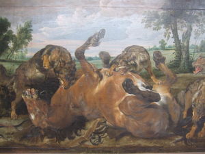 Horse devoured by wolves