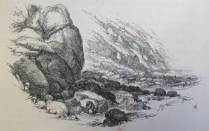 Illustration from The Channel Islands