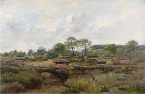 Heather landscape