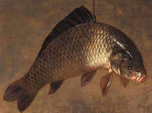 A still life with a carp hanging from a piece of string