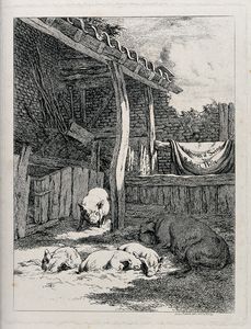 An outdoor pen of five pigs with the interior of a farm shed