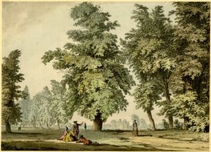 A park scene, with a group of two ladies and a man seated on the grass
