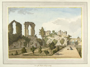 Bayham Abbey f. - (17)