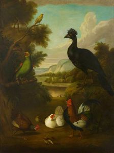 Canari , vert perroquet et autre Oiseaux dans un paysage