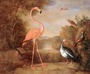 Verschiedene Arten von Vögeln (mit Flamingo)