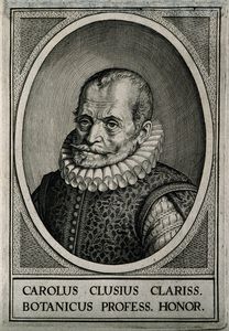 Charles de l'Écluse or Carolus Clusius