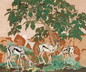 Gazelles du nord Afrique