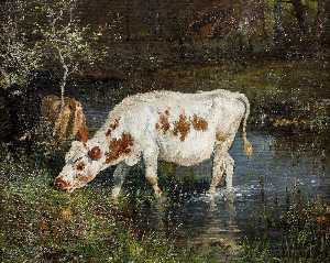 Grazing Cow at the Riverside