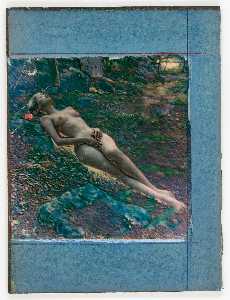 Untitled (nude female lying in forest undergrowth)