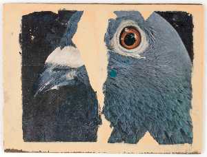 Untitled (pigeon head)