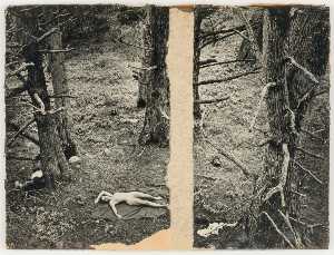 Untitled (nude on blanket on forest floor)