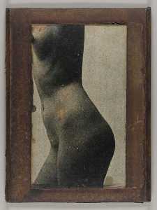 Untitled (side view, nude female torso)
