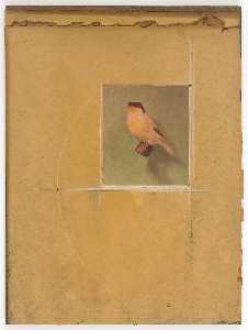 Untitled (canary on perch)