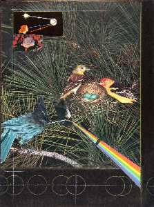 Sanstitre ( Comment Faire un Arc-en- , deux multicolores oiseaux avec nid )