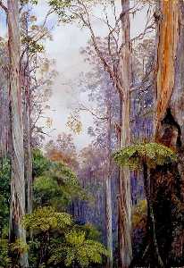 Gum Trees and Tree Ferns, Victoria