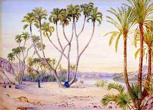doum et date palms on le nil ci-dessus philae , Egypte