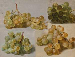 Still life of grapes