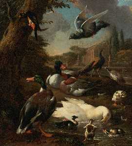 un pavo real , Paloma , Patos y otra Pájaros en un jardín Ajuste