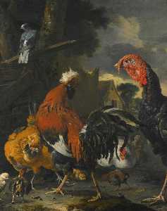 A cockerel, a turkey, hens and chickens in a farmyard