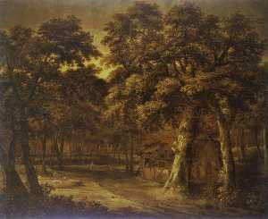Landscape in Woodland