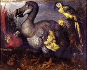Edward's Dodo