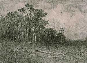 paisaje del bosque  escena