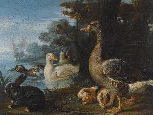 A cockerel, hens, doves and a parrot in a formal garden setting Ducks, guinea pigs and a rabbit in a wooded landscape beside a lake