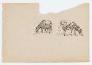 Untitled (Two Cows)