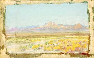 Desert Landscape ( 69)