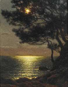 залитый лунным светом побережье
