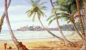 Cocoanut Palms on the Coast near Galle, Ceylon