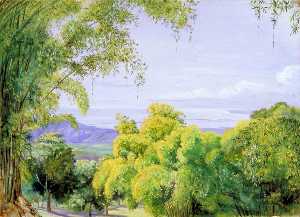 View over Port Royal, Jamaica, with Bamboos in the Foreground