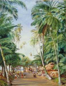 Roadside Scene under the Cocoanut Trees at Galle, Ceylon
